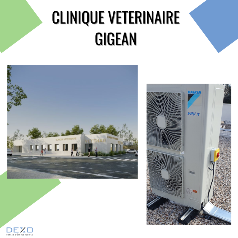 clinique vétérinaire à Gigean (34) Surface de 350 m² avec un local commercial en RDC